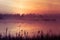 A beautiful, pink sunrise ower the swamp. Sun rising in wetlands, purple misty atmosphere.