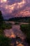 Beautiful pink sunset on river, duck with ducklings, islands, reeds, grass. Bright evening rustic landscape