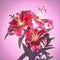 Beautiful pink tiger lily flower