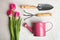 Beautiful pink tulips, watering can and gardening tools