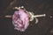 Beautiful pink and white wedding boutonniere with paeony, wedding celebration and valentines day