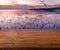 Beautiful plank wooden table, perspective view, empty space for product presentation. Blurred background of sunset on the beach