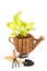 Beautiful plant in a flowerpot and garden tools