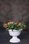 Beautiful Planter with Flowers Digital Prop