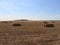 Beautiful plateau field Spain harvests straw bales summer heat