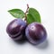 Beautiful Plum Renderings On White Background