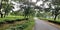 A beautiful pocket road of tea garden