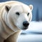 Beautiful polar bear in fine detail - ai generated image