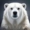 Beautiful polar bear in fine detail - ai generated image