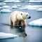 Beautiful polar bear in the wild - ai generated image