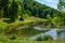 A beautiful pond in the arboretum of Aubonne, Switzerland during springtime