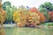 beautiful pond and colorful autumn trees in the Buen Retiro Park near the Crystal Palace. Madrid, Spain