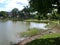 Beautiful pond landscape, trees on the sides and shadows of clouds