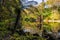 Beautiful pond in the Pena park near the famous Pena National Palace. Sintra