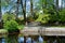 A beautiful pond scene with shrubs, trees, leaves and grass surrounding the pond with a blue sky and clouds in the background