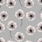 Beautiful poppies isolated on gray background. Floral seamless Pattern. Summer backdrop.Can be used for textile,wallpaper,print