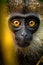 Beautiful portrait of black faced monkey with orange eyes under the rain. Amazing Wildlife. Generative Ai