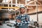 Beautiful portrait. Factory male worker in uniform is indoors