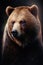 A Beautiful Portrait of an Old Brown Bear. Generative AI