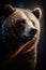 A Beautiful Portrait of an Old Brown Bear. Generative AI