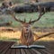 Beautiful portrait of red deer stag Cervus Elaphus in colorful Autumn Fall woodland landscape coming out of pages in magical story