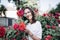 Beautiful portrait of sensual brunette young woman in white dress close to red roses. She is hidding at the rose bush.