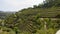 Beautiful Portugal - the vineyards at Douro Valley called Vale do Douro