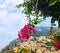 Beautiful Positano view on mountains with colorful houses framed with blooming flowers photo