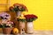 Beautiful potted fresh chrysanthemum flowers and pumpkins near yellow brick wall. Space for text