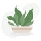 Beautiful pottery plant on white background vector