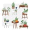 Beautiful pottery plants set on white background