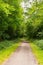 Beautiful preserved wild forest with a path for hikers or bikers