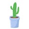 Beautiful prickly elongated cactus in pot isolated vector