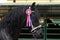 Beautiful prize-winning purebred friesian horse