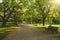 Beautiful public park on the sunshine. The shadow of the tree on a sunny day. Nature summer landscape.