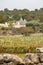 Beautiful Puglia landscape with traditional old Trullo or Trulli houses in autumn