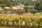 Beautiful Puglia landscape with traditional old Trullo or Trulli houses in autumn