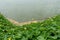 Beautiful pumpkin trees beside a lake