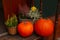 Beautiful pumpkins and flowers on wooden stairs outdoors