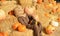 Beautiful pumpkins, funny stuffed animal on a haystack . Halloween. Scarecrow at a country party