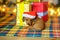 Beautiful puppy dachshunds sitting near gifts