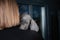 beautiful puppy looks out and hides behind the hostess, a portrait of the macro, space for text.  Animal protection concept,