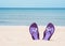 Beautiful, purple flip-flops on the beach