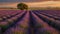 beautiful purple lavender fields at sunset generated by Ai