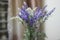 Beautiful purple lavender flowers is decorated in the home
