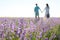 Beautiful purple lavender flowers on the summer field. Blurred Couple hugging hands, romantic love story. Warm and inspiration