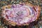 Beautiful purple slice of Petrified Wood
