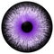 Beautiful purple white black 3d halloween eyeball