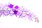 Beautiful Purple Wreath Petrea Volubilis or Queen`s Wreath,Sandpaper Vine decorated in garden with bokeh background. Flower,