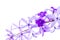 Beautiful Purple WreathPetrea Volubilis or Queen`s Wreath,Sandpaper Vine decorated on white background. Flower,
